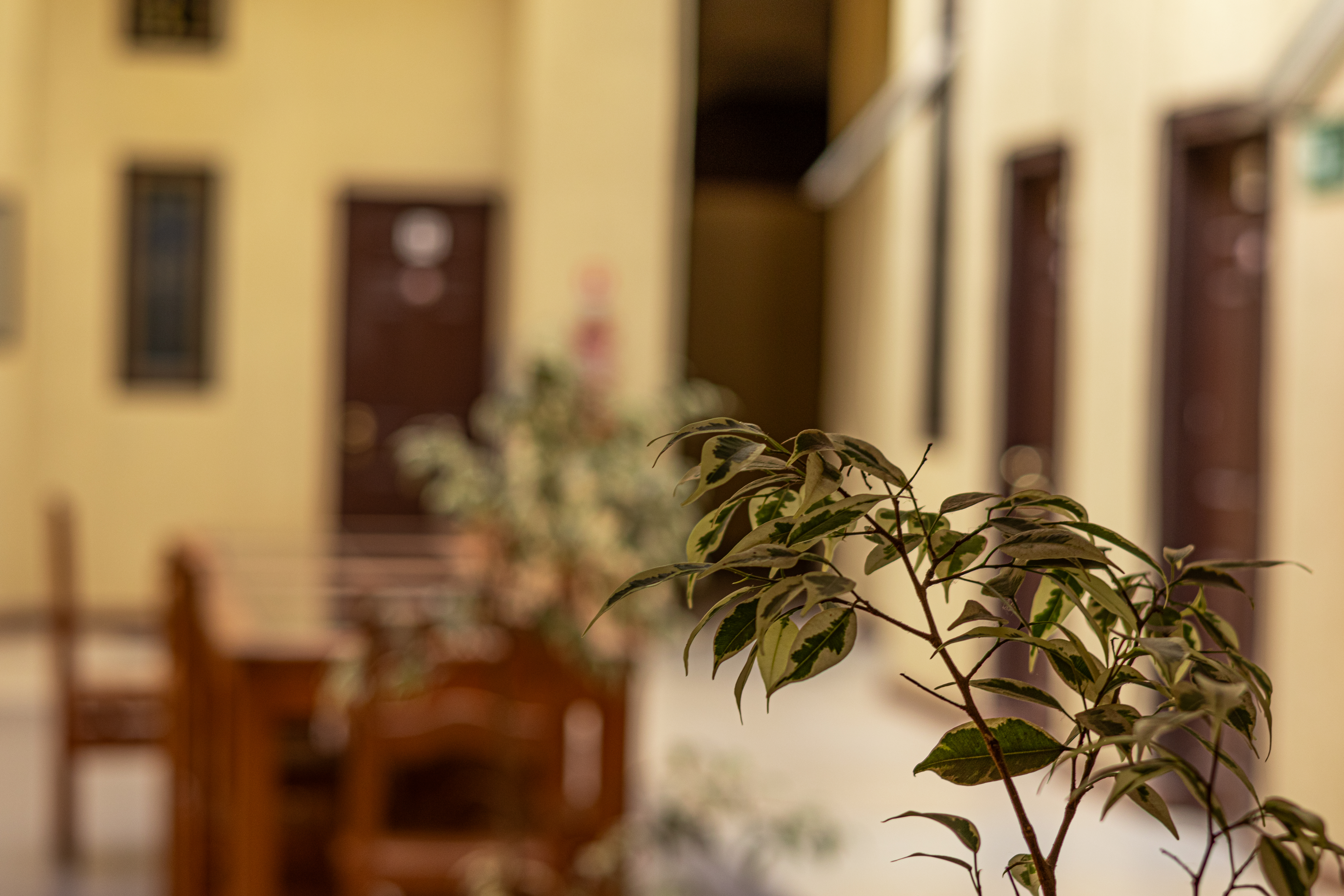 Hostal Catedral departamento